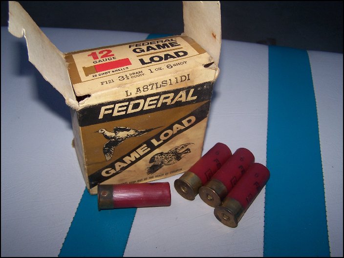 Collectible Shotgun Shells My Xxx Hot Girl