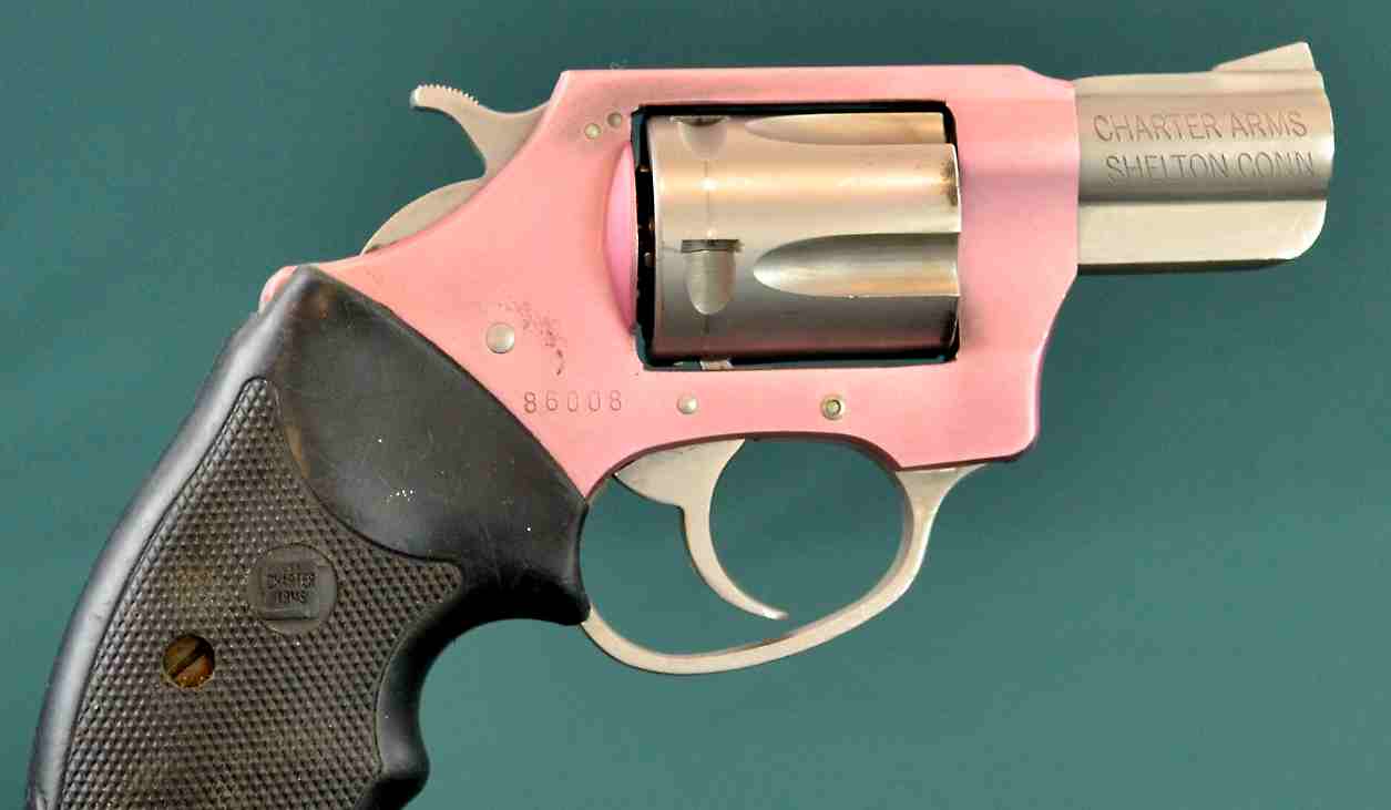 Charter Arms Model The Pink Lady 38Spl Revolver For Sale At 