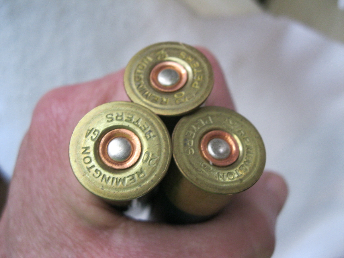 4 Ga Shotgun Shell My Xxx Hot Girl