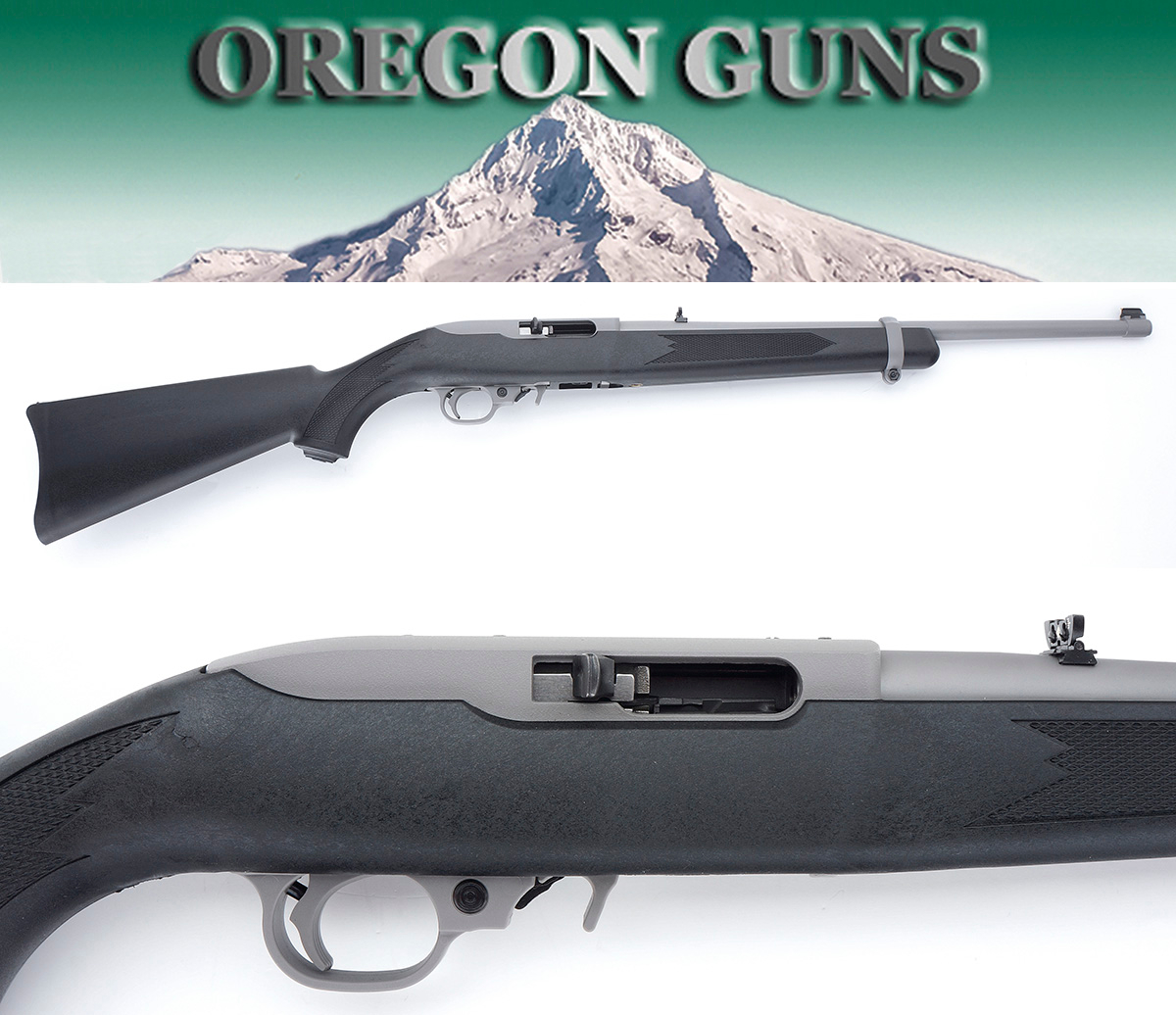 Sturm, Ruger & Co. Sturm Ruger 10/22Rpf Stainless Steel Synthetic