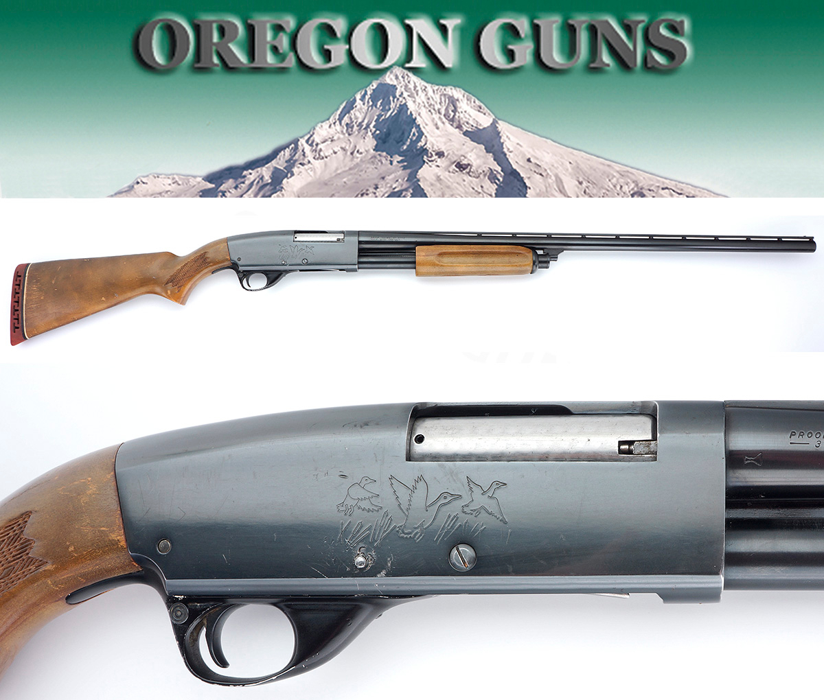Coast To Coast Model 367 (Savage Model 30) Pump Shotgun 20 Ga Sn ...
