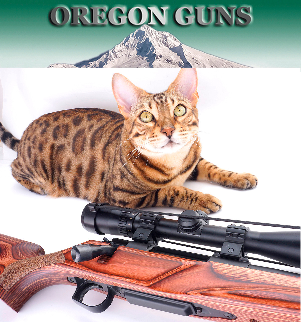 Thompson Center Arms Precision Hunter Icon Bolt Rifle .204 Ruger Like