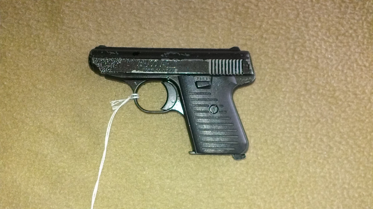 Jennings/Bryco / J22 Semiautomatic .22 LR With Leather Holster .22 LR