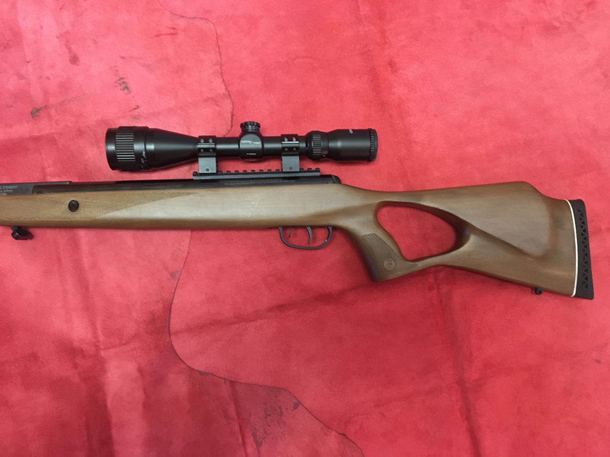 BENJAMIN TRAIL NP .22CAL .22 LR 17187774 - GunAuction.com