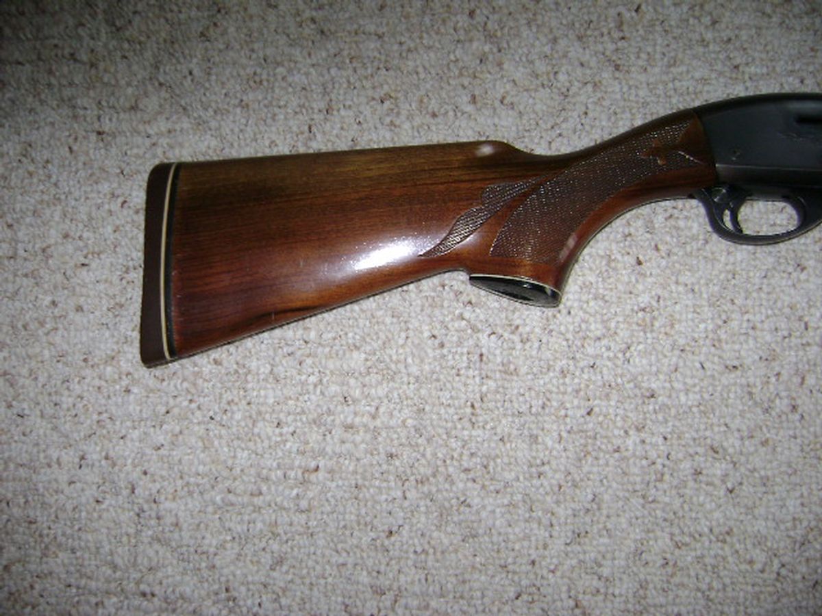 Remington 1100 -20 Ga. -2 3/4 Chamber 20 Ga For Sale at GunAuction.com ...