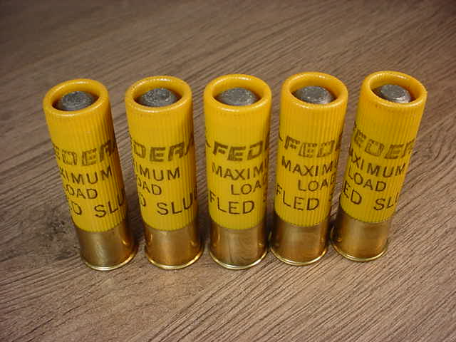 5 Rounds of Federal Maximum Load 20 Gauge Rifled Slug 17236147 ...