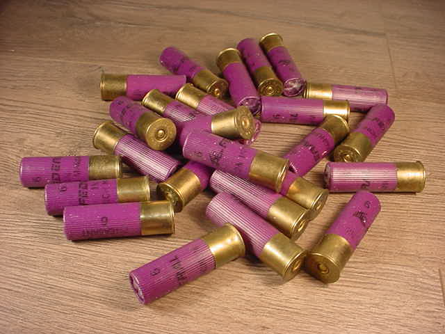 25 Rounds Of Mixed Federal 16 Gauge Number 6 Shot 16 Ga For Sale at ...