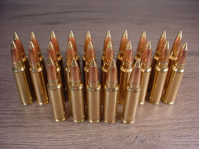 25 Rounds Remington .300 Savage Semi-Jacketed Bronze Tip .300 Savage ...