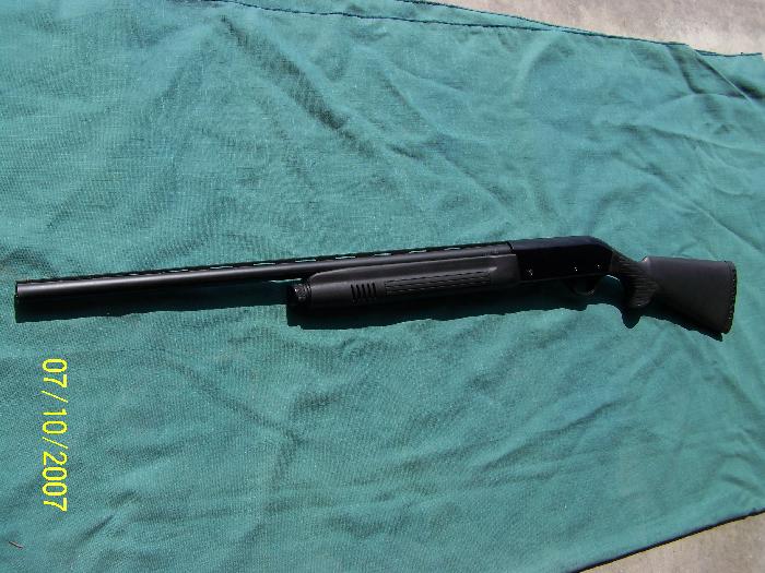 Charles Daly Field Model 12 Ga Almost New Semi-Auto Syn. Stock 3