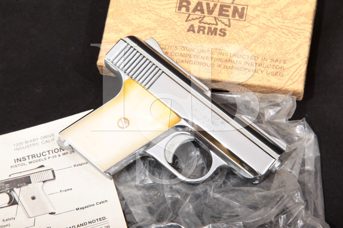 Raven arms mp 25 manual