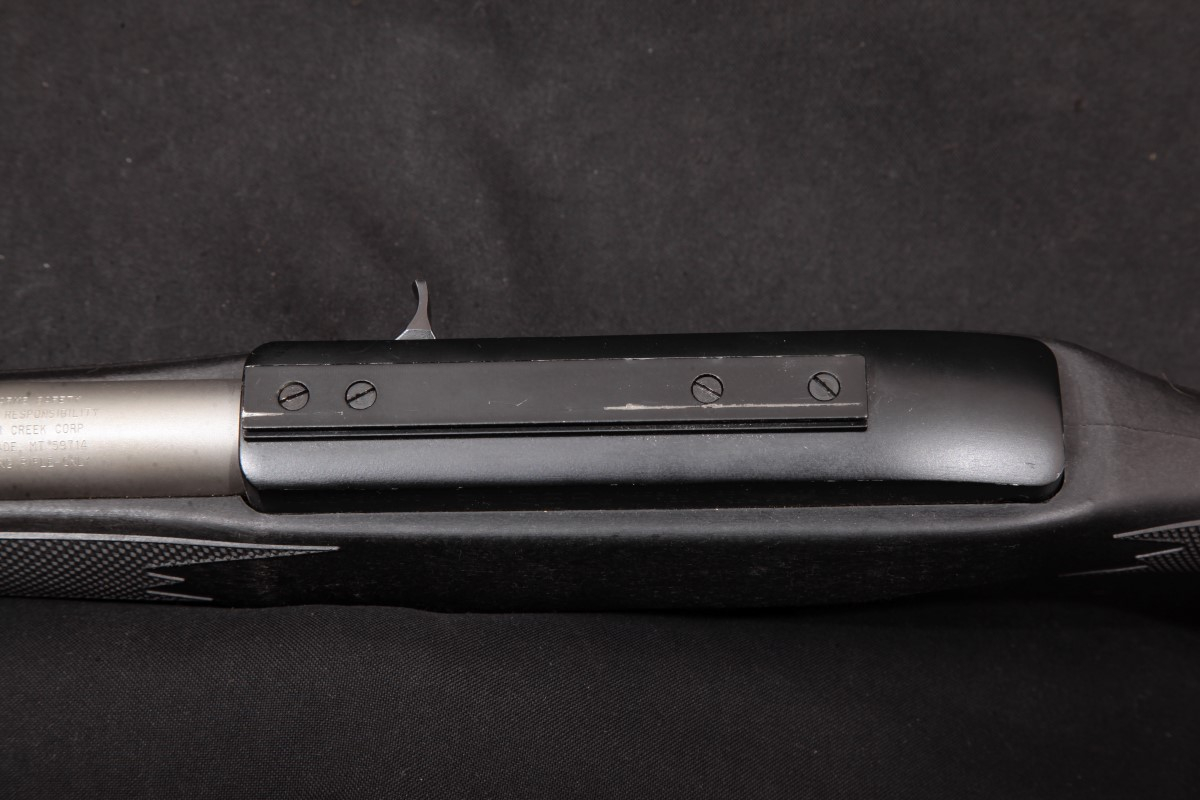 Ruger Custom Model 10/22 10-22 1022, Stainless & Black 20