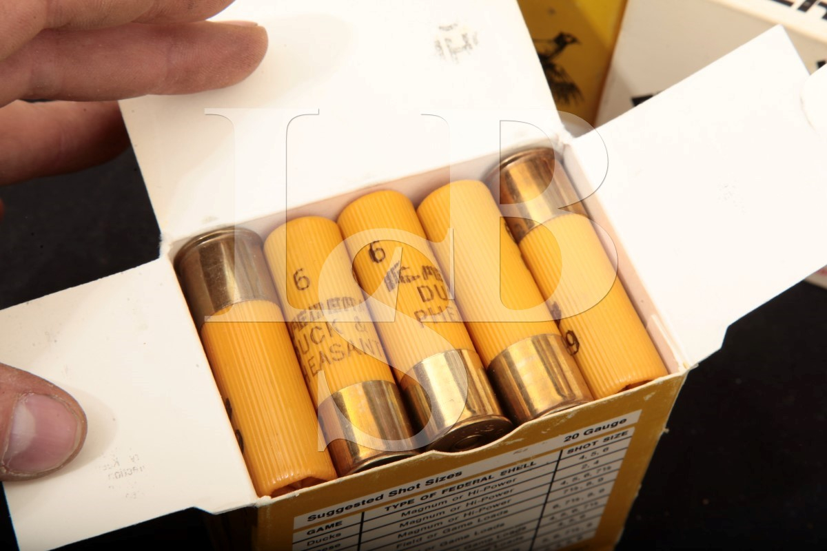475x 20 Ga. Ammunition Federal Duck & Pheasant 2 3/4