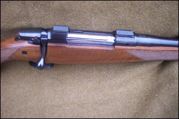 ritme resterend Deter Cz 550 Safari Magnum 375 H&H Mag. For Sale at GunAuction.com - 7701100