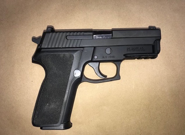 Sig Sauer P229 W/Streamlight Tlr-1 9mm Luger For Sale at GunAuction.com ...