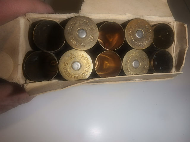 10 All Brass 12 Ga Shells In 2-1/2 Inch Fiocchi For Sale at GunAuction ...