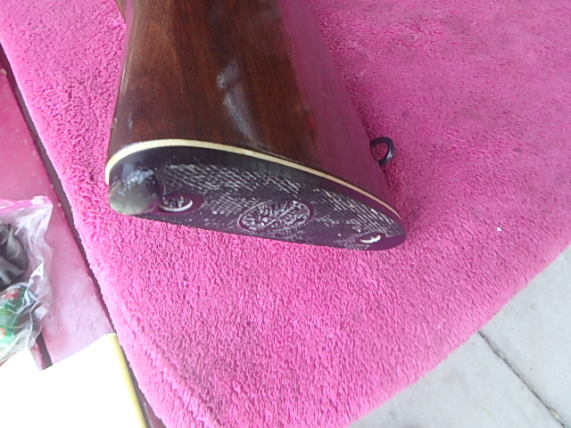 Winchester 22-250 MODEL 70 24 INCH HEAVY BARREL AND RINGS .22-250 Rem. - Picture 2