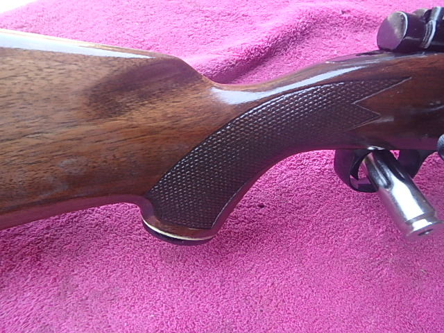 Winchester 22-250 MODEL 70 24 INCH HEAVY BARREL AND RINGS .22-250 Rem. - Picture 4