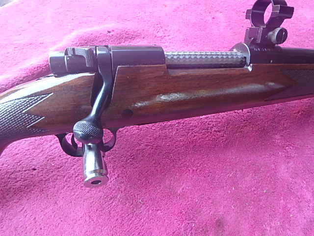 Winchester 22-250 MODEL 70 24 INCH HEAVY BARREL AND RINGS .22-250 Rem. - Picture 5