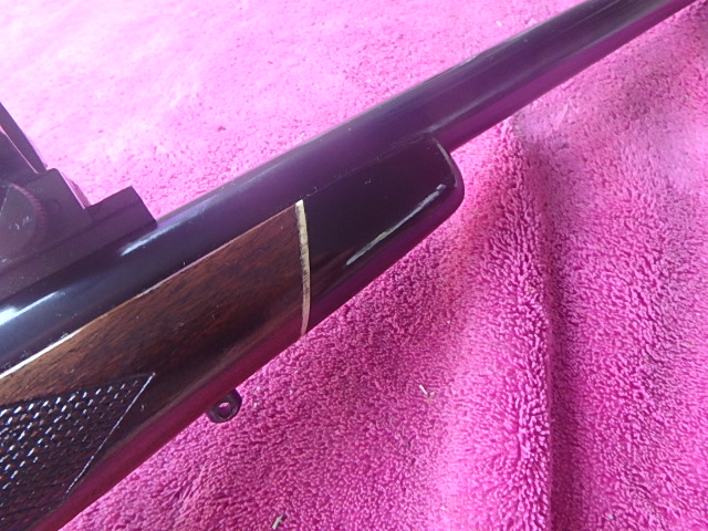 Winchester 22-250 MODEL 70 24 INCH HEAVY BARREL AND RINGS .22-250 Rem. - Picture 9