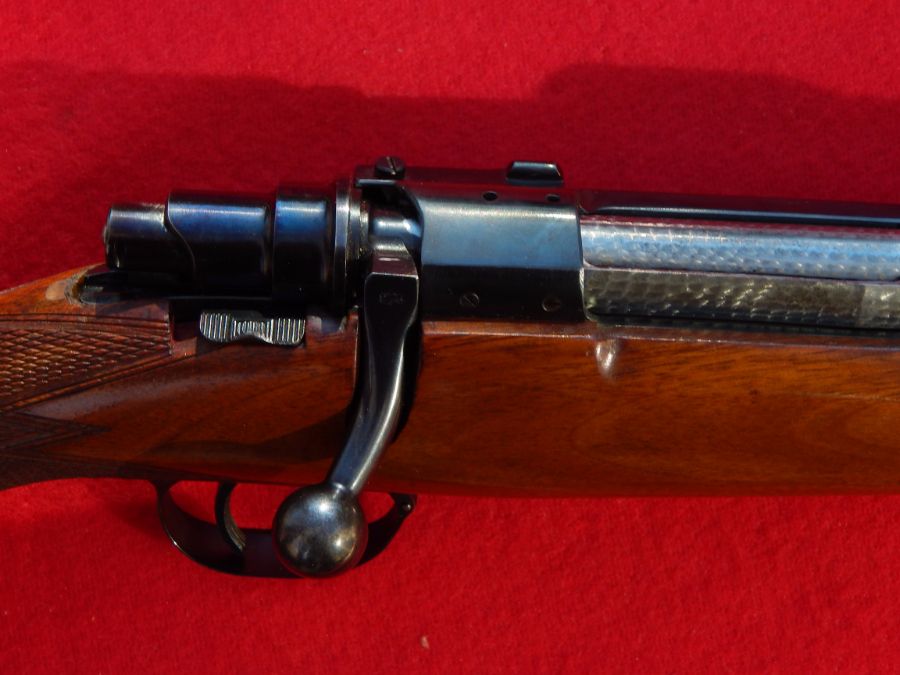 FN Mauser - Custom Engraved - Picture 6