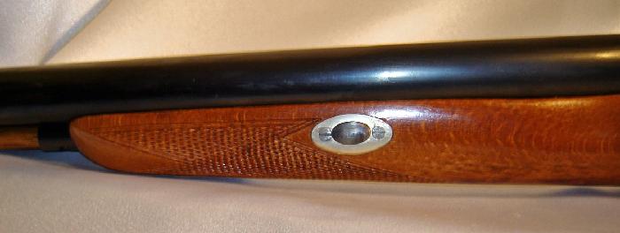 Connecticut Valley Arms Cva 12 Gauge Shotgun For Sale at GunAuction.com ...