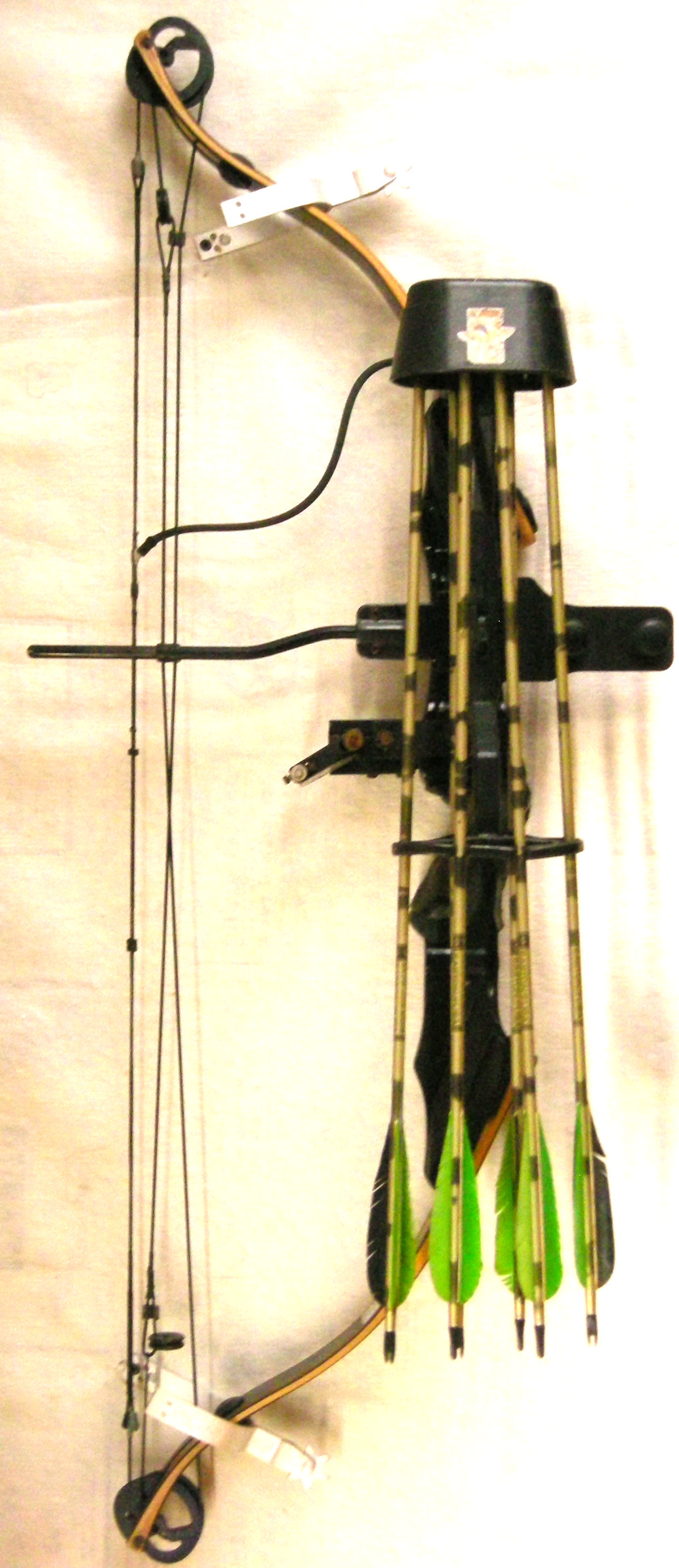 Compound Bow By Golden Eagle Model Falcon For Sale At