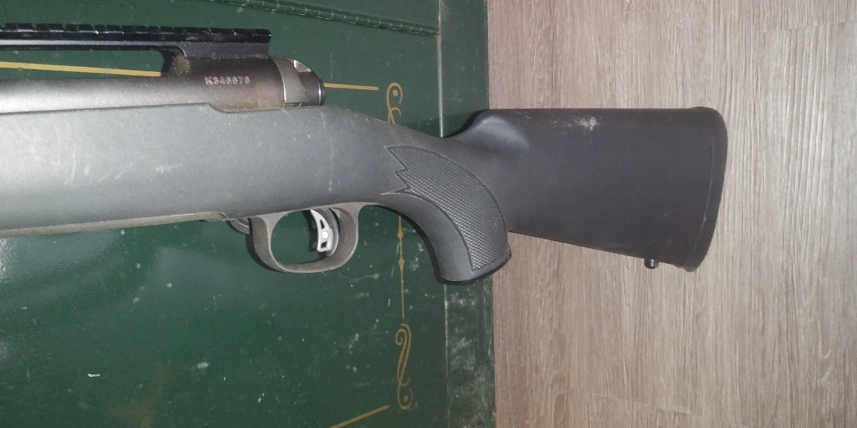 Savage Model 10, Heavy Fluted Barrel, .308/7.62, Bipod, Picatinny Rail