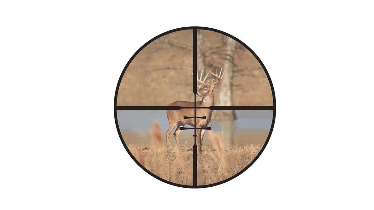 Leupold Usa Vx-5hd 3-15x44 Cds-zl2 Side Focus Boone & Crockett Reticle 