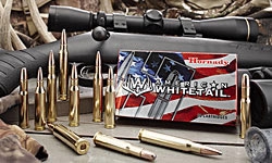 Hornady .243 American Whitetail Ammo Sp 100gr 60rd 243 Ammunition .243 ...