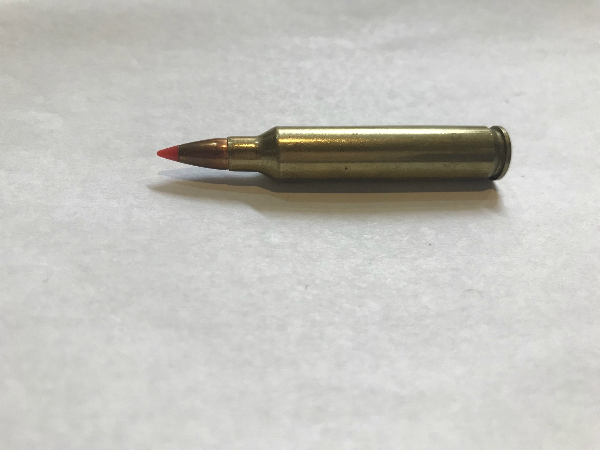Single Shell Hornady .204 Ruger 14884772 - GunAuction.com