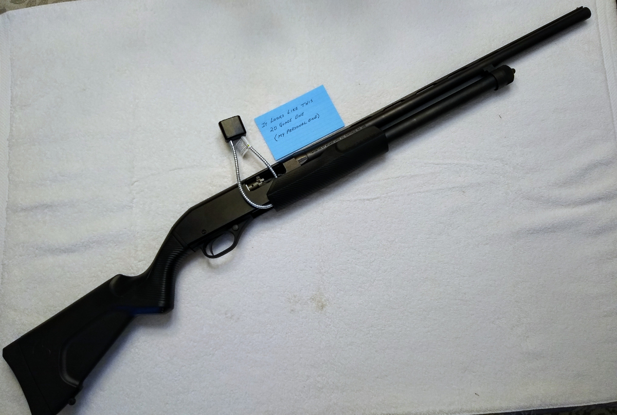 Stevens Model 320 12 Gauge 12 Ga For Sale at 17170706