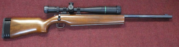 Kimber 82g (Government) Target Rifle With Rings,Level And Target Scope ...