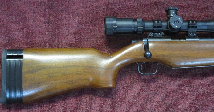 Kimber 82g (Government) Target Rifle With Rings,Level And Target Scope ...