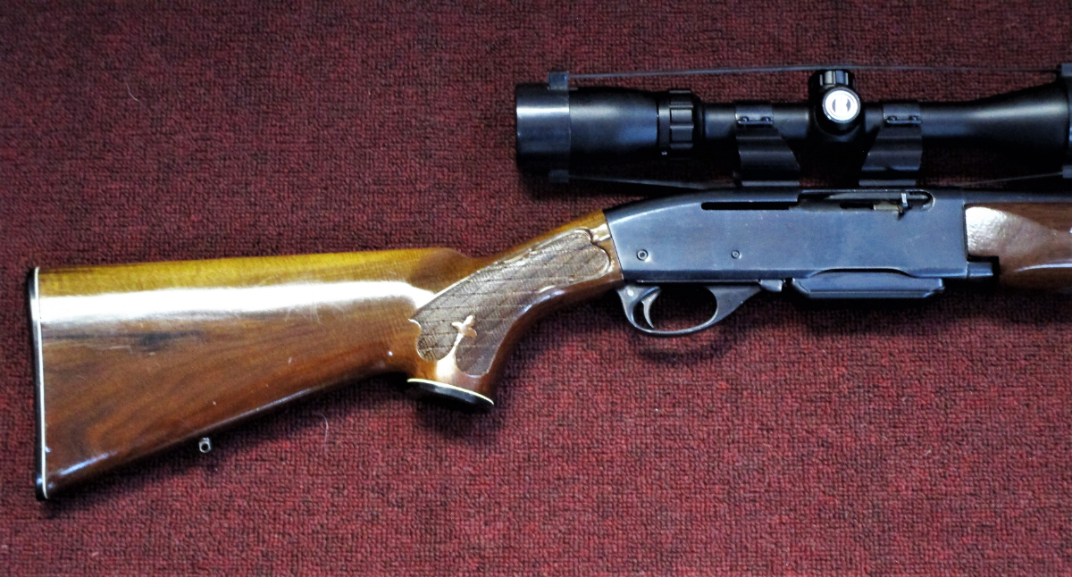 Remington 742 Iron Sights See Thru Rings Bushnell Scope .3006