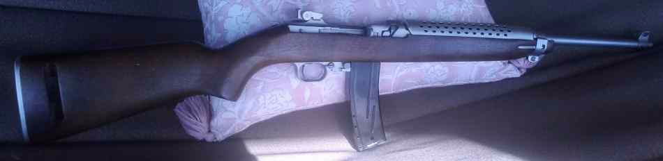 M1 Carbine Stainless 30cal .30 Carbine For Sale at GunAuction.com ...