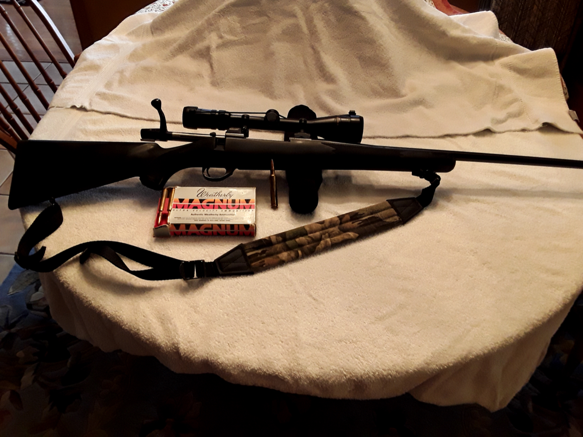 Weatherby Vanguard 300 Wby. Mag. B.a. W  Bushnell Elite 4-12x50scope 