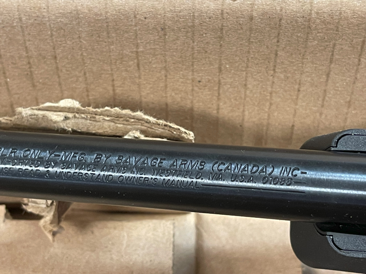 Savage Model A22 SemiAuto Rifle Synthetic Stock Open Sights And Scope