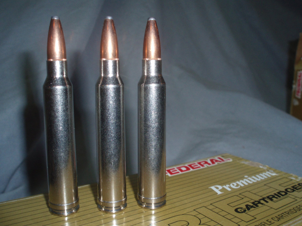 Federal Premium Ammunition 40 Rounds, 180 Gr. Nosler Partition .300 Win ...