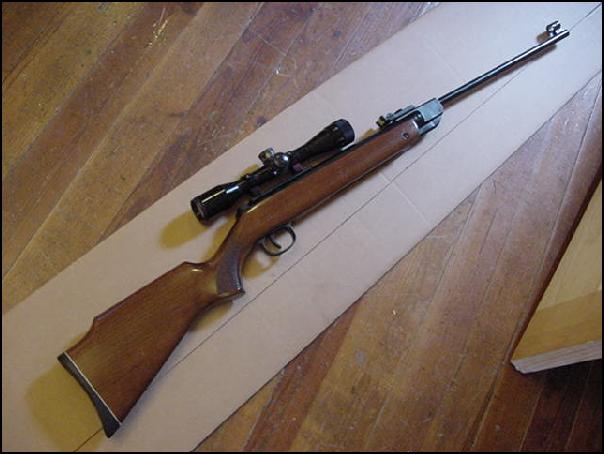 Rws Diana Model 36 .177cal For Sale at GunAuction.com - 8091918