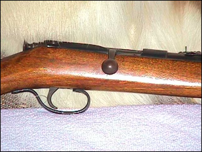 Stevens, J. Arms Co. Stevens Model 66 Bolt Action 22 Rf For Sale at ...