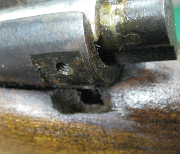 Springfield Model 84c .22 Cal Bolt Action Clip Fed Rifle Hooded Front ...